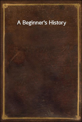 A Beginner`s History