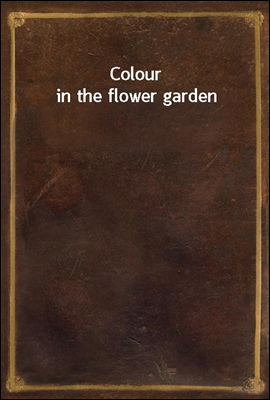 Colour in the flower garden