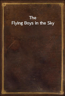 The Flying Boys in the Sky