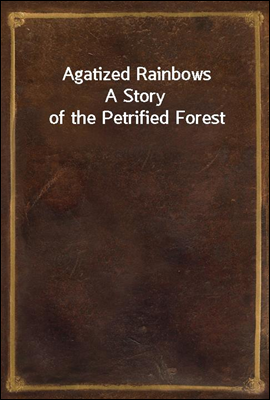 Agatized Rainbows
A Story of the Petrified Forest