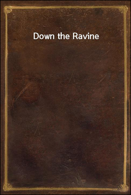 Down the Ravine