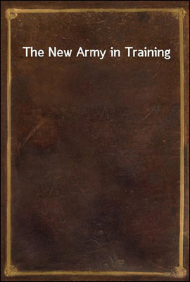 The New Army in Training