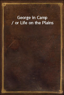 George in Camp / or Life on the Plains