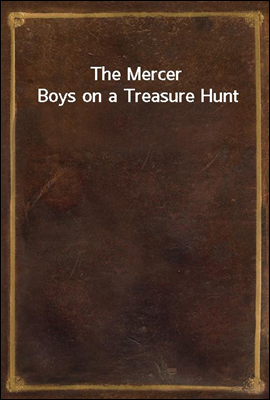 The Mercer Boys on a Treasure Hunt