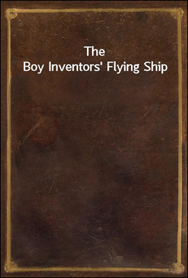 The Boy Inventors` Flying Ship