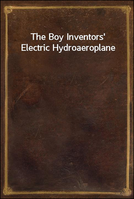 The Boy Inventors` Electric Hydroaeroplane