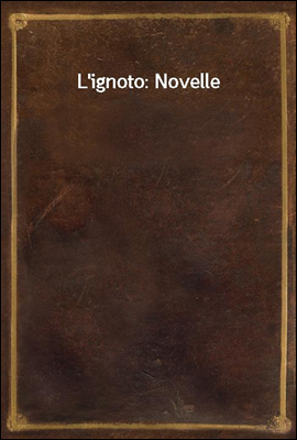 L`ignoto: Novelle