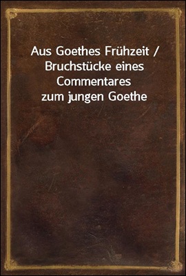 Aus Goethes Fruhzeit / Bruchstucke eines Commentares zum jungen Goethe
