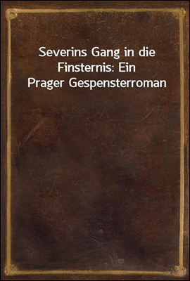 Severins Gang in die Finsternis: Ein Prager Gespensterroman
